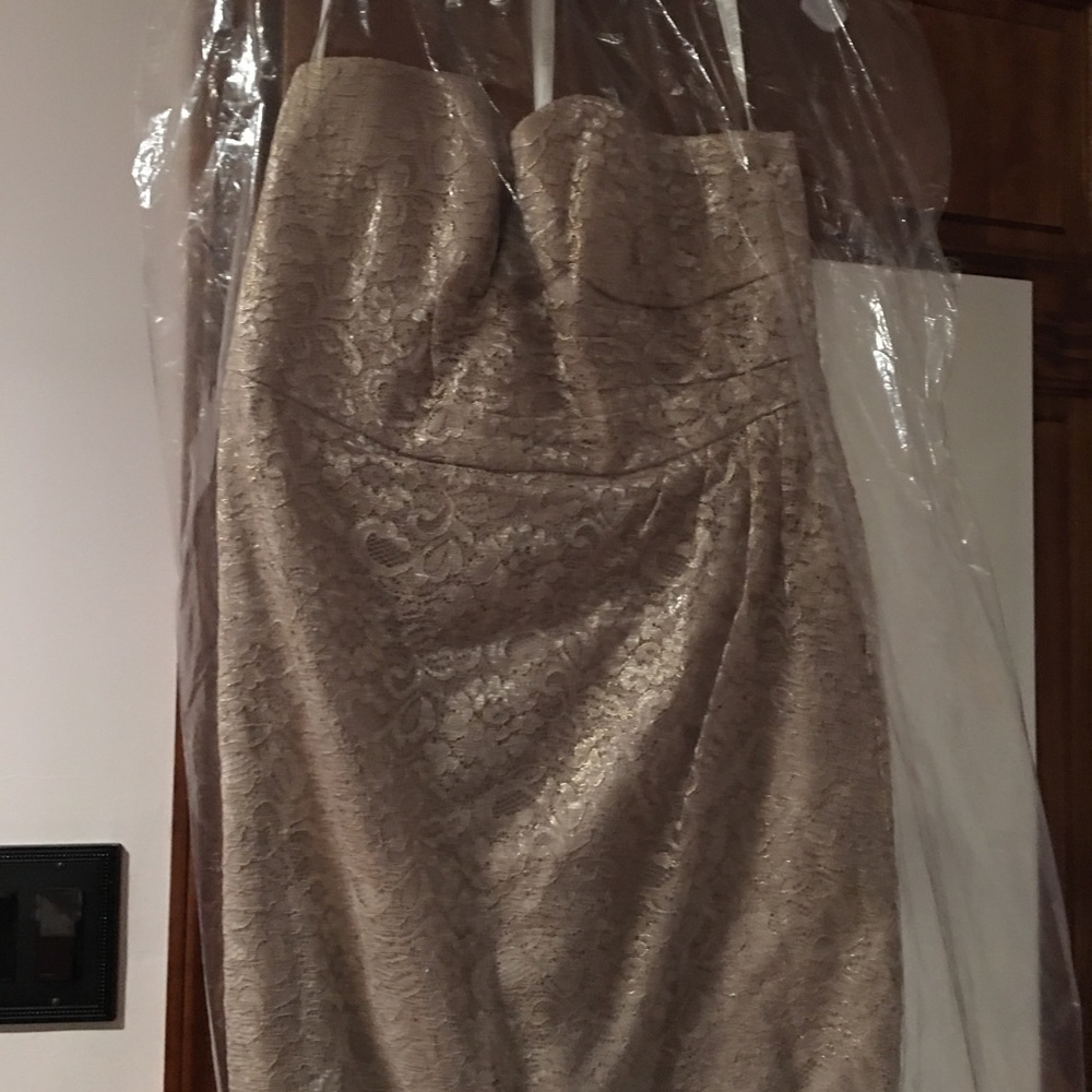 David’s bridal short strapless  lace dress